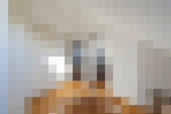 Laan van Meerdervoort 1419 Den Haag thumbnail 35