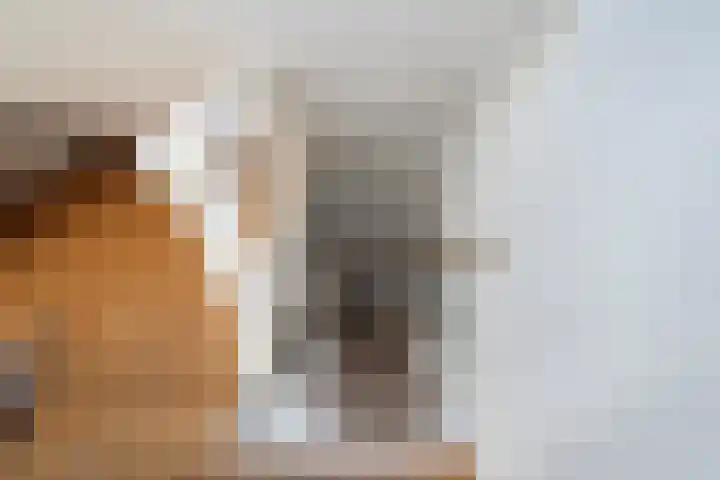 Laan van Meerdervoort 1419 Den Haag thumbnail 37