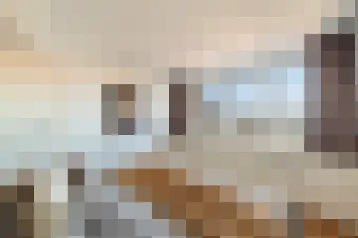 Laan van Meerdervoort 1419 Den Haag thumbnail 39