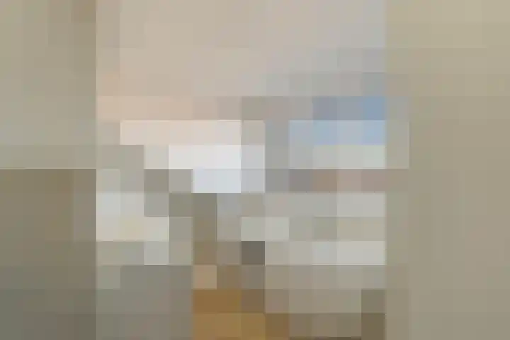 Laan van Meerdervoort 1419 Den Haag thumbnail 40