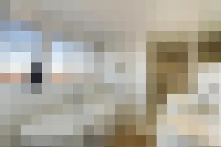Laan van Meerdervoort 1419 Den Haag thumbnail 42