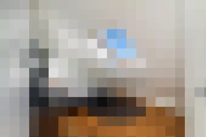 Laan van Meerdervoort 1419 Den Haag thumbnail 45