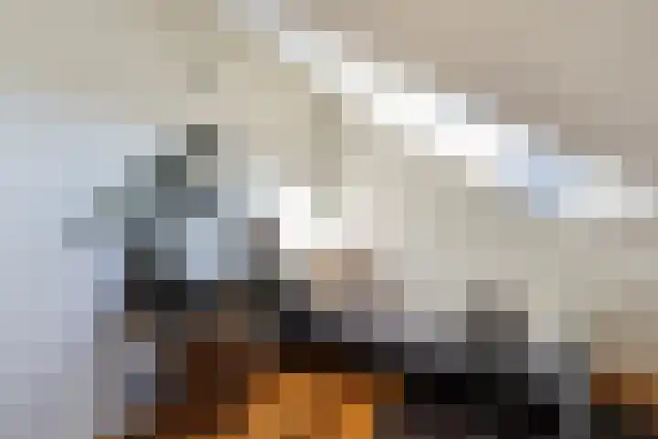 Laan van Meerdervoort 1419 Den Haag thumbnail 46