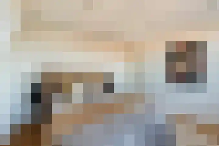 Laan van Meerdervoort 1419 Den Haag thumbnail 49