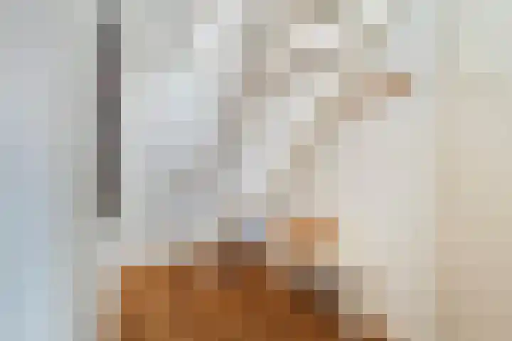 Laan van Meerdervoort 1419 Den Haag thumbnail 8