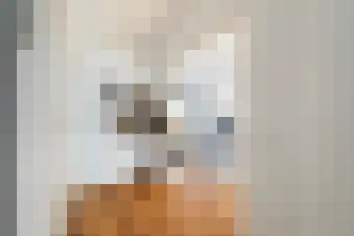 Laan van Meerdervoort 1419 Den Haag thumbnail 9