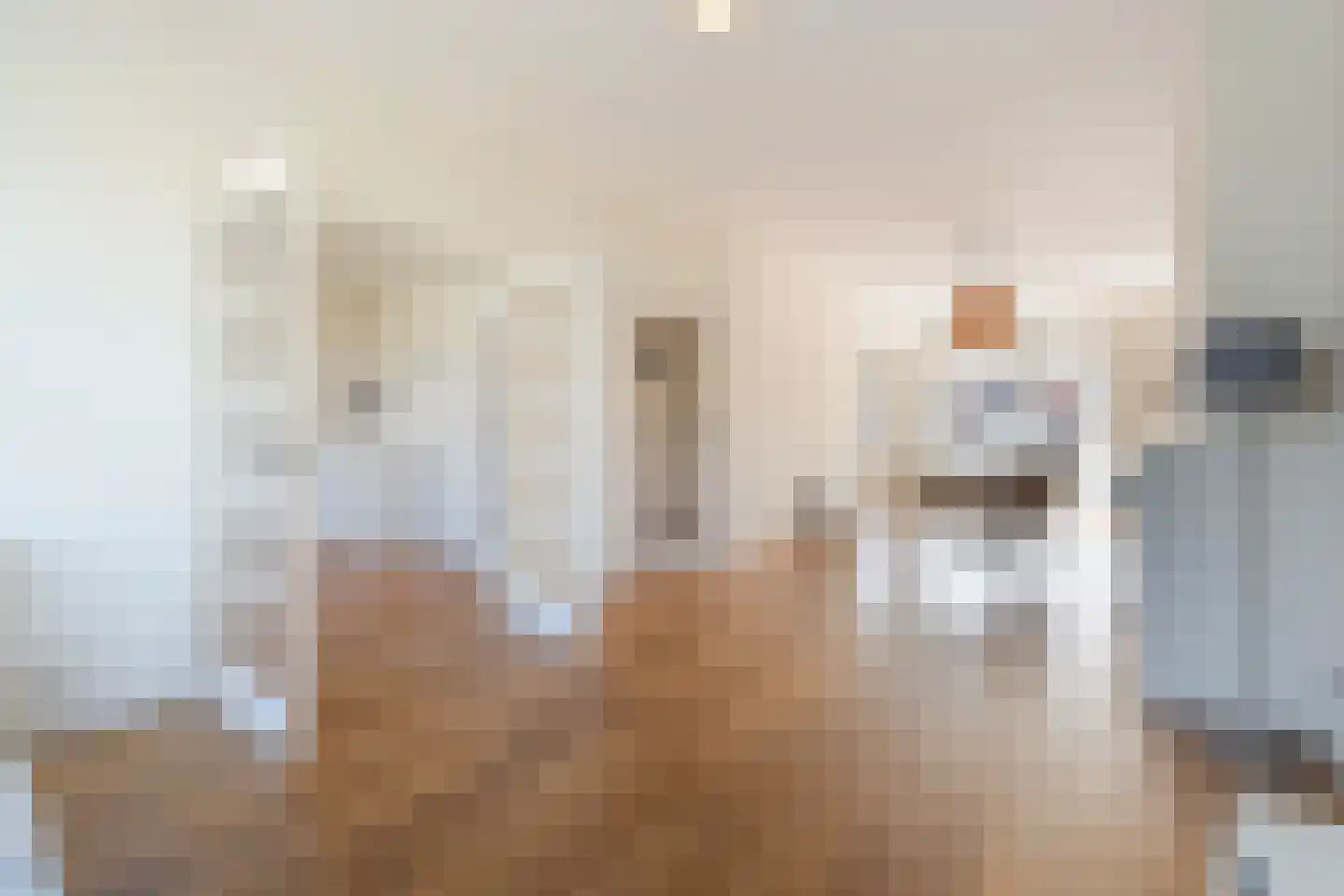 Laan van Meerdervoort 1424 Den Haag thumbnail 22