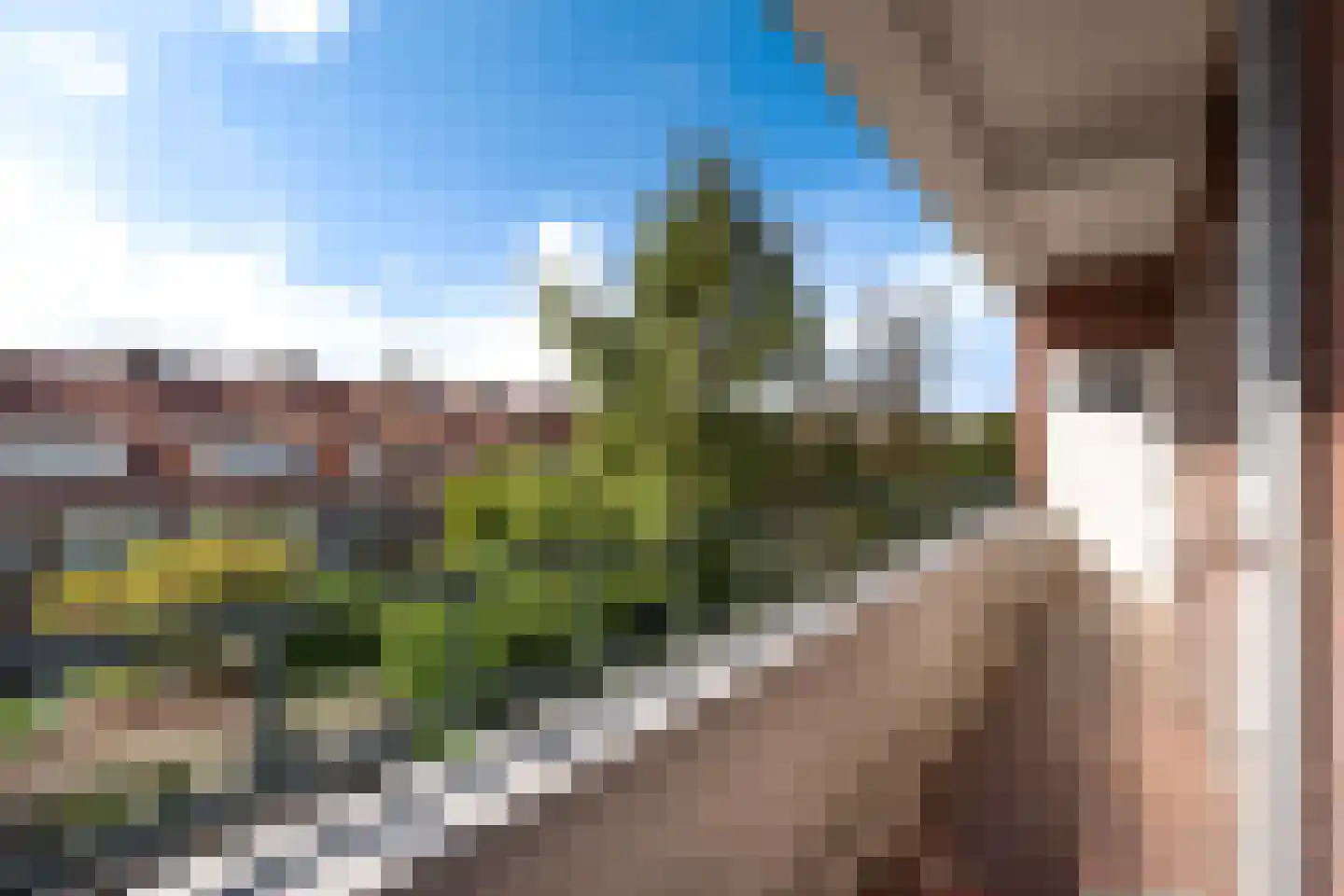 Laan van Meerdervoort 1424 Den Haag thumbnail 31