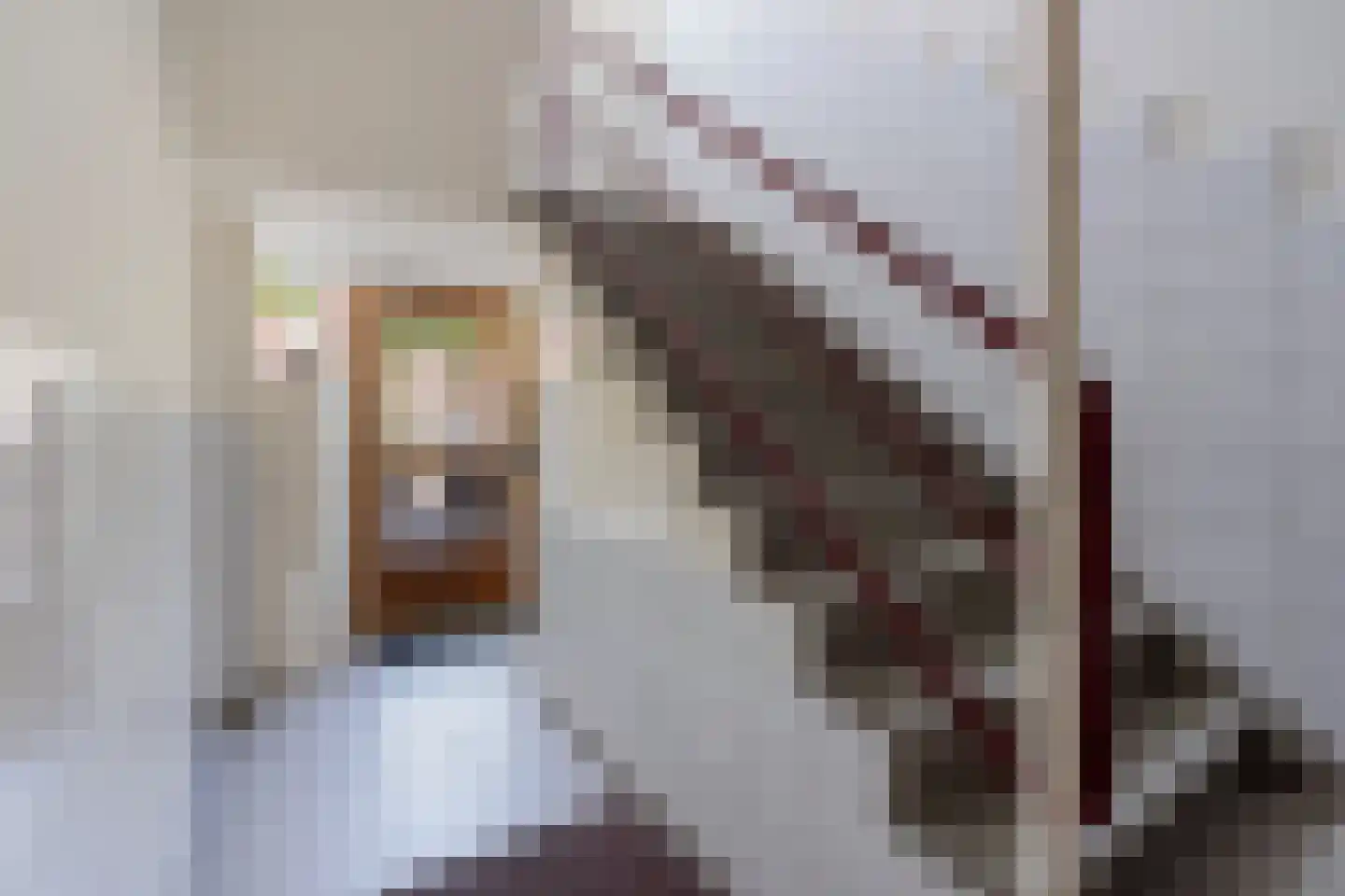Laan van Meerdervoort 1424 Den Haag thumbnail 4