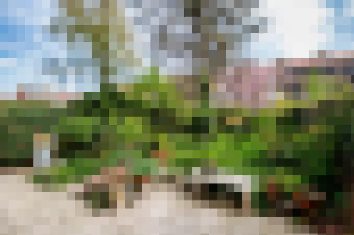 Laan van Meerdervoort 1442 Den Haag thumbnail 30