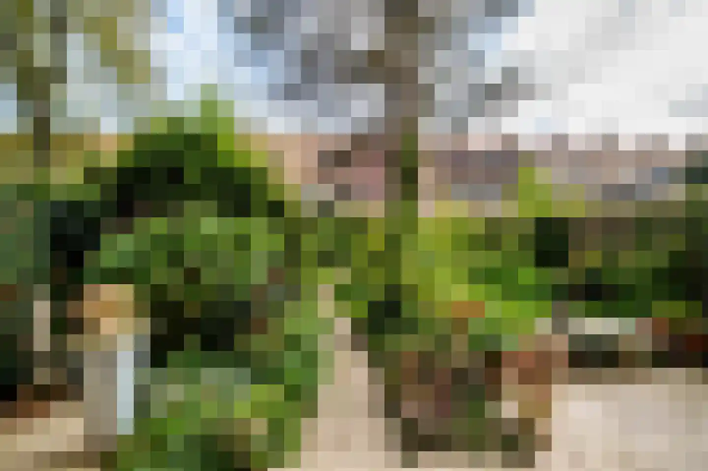 Laan van Meerdervoort 1442 Den Haag thumbnail 32
