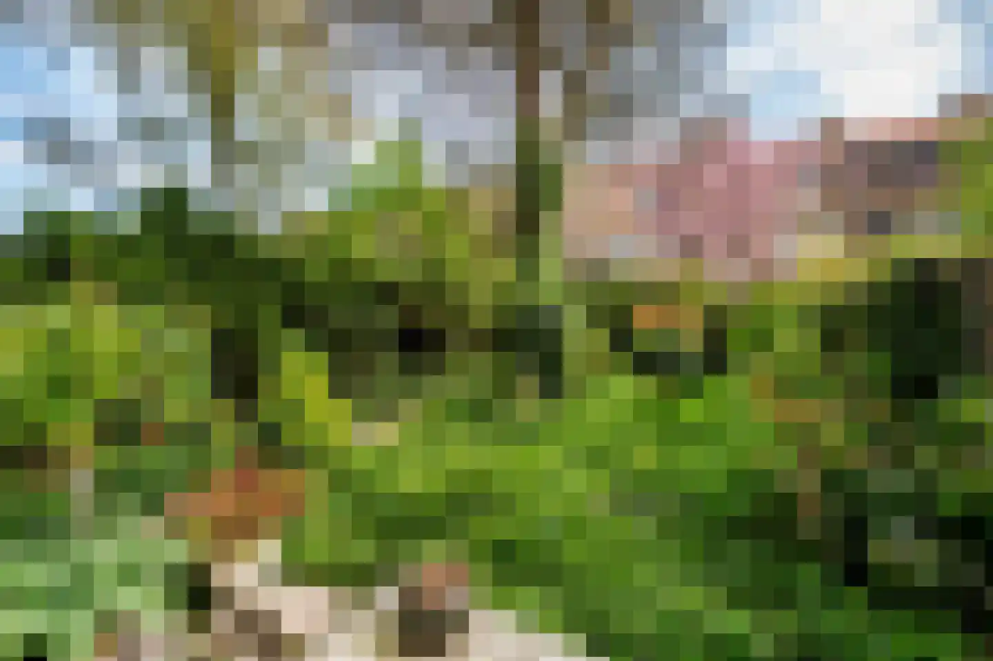Laan van Meerdervoort 1442 Den Haag thumbnail 34