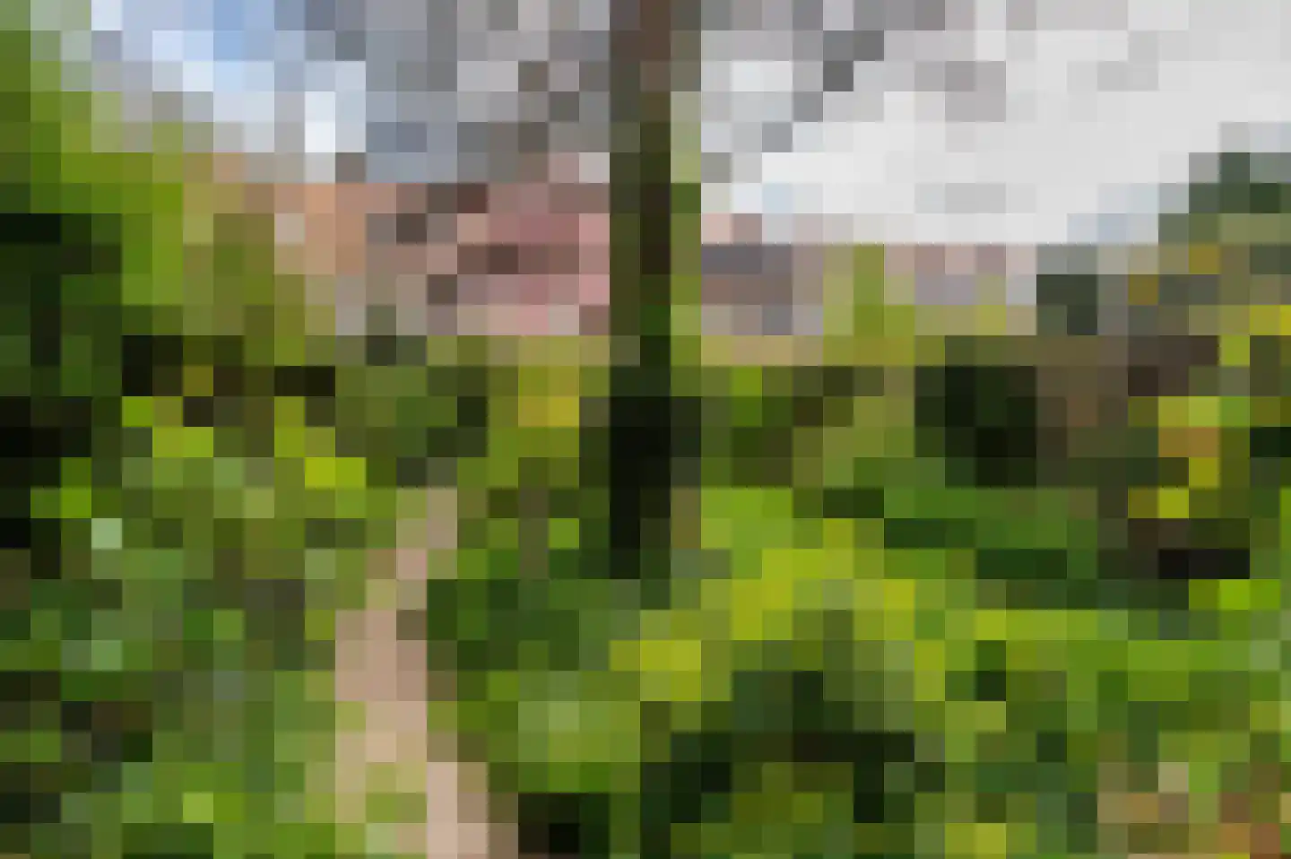 Laan van Meerdervoort 1442 Den Haag thumbnail 35