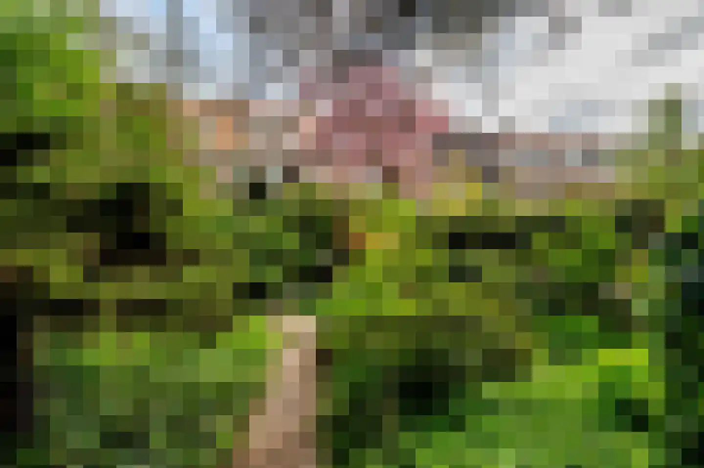 Laan van Meerdervoort 1442 Den Haag thumbnail 36