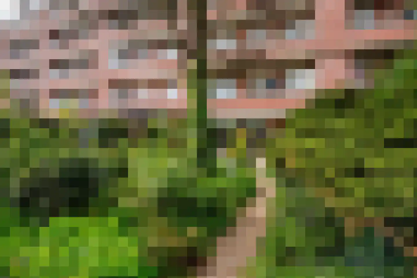Laan van Meerdervoort 1442 Den Haag thumbnail 37