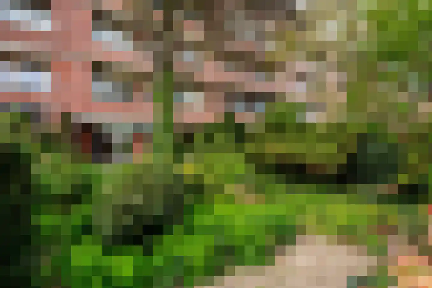 Laan van Meerdervoort 1442 Den Haag thumbnail 38