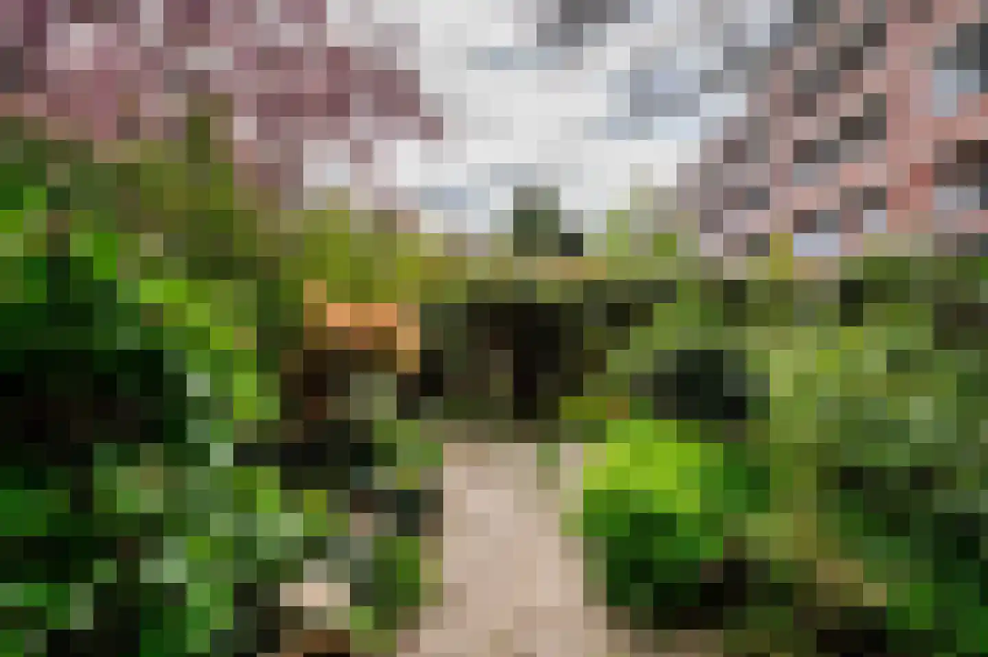 Laan van Meerdervoort 1442 Den Haag thumbnail 39