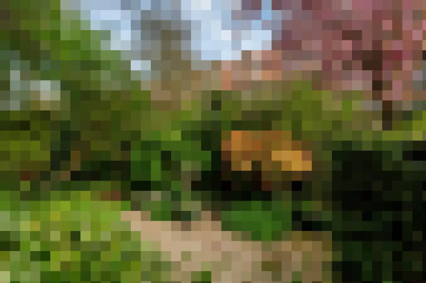 Laan van Meerdervoort 1442 Den Haag thumbnail 40