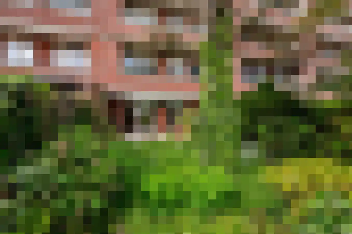 Laan van Meerdervoort 1442 Den Haag thumbnail 41