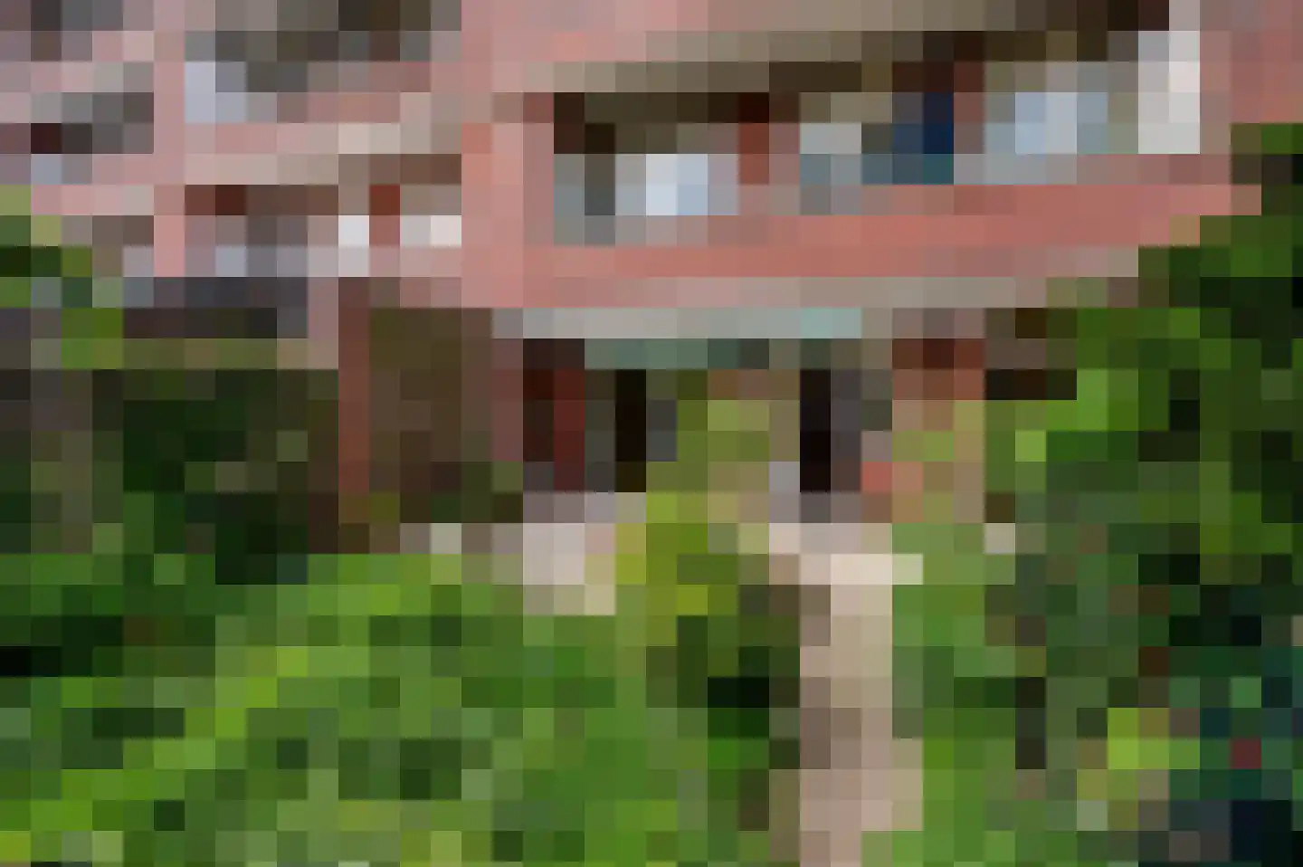 Laan van Meerdervoort 1442 Den Haag thumbnail 42
