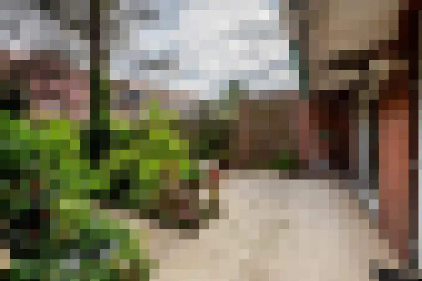 Laan van Meerdervoort 1442 Den Haag thumbnail 43