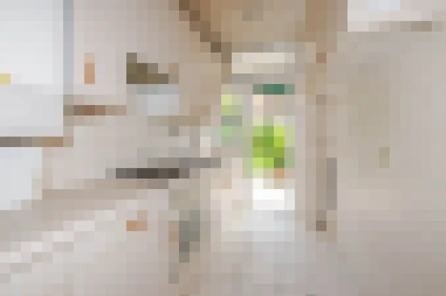 Laan van Meerdervoort 1442 Den Haag thumbnail 44