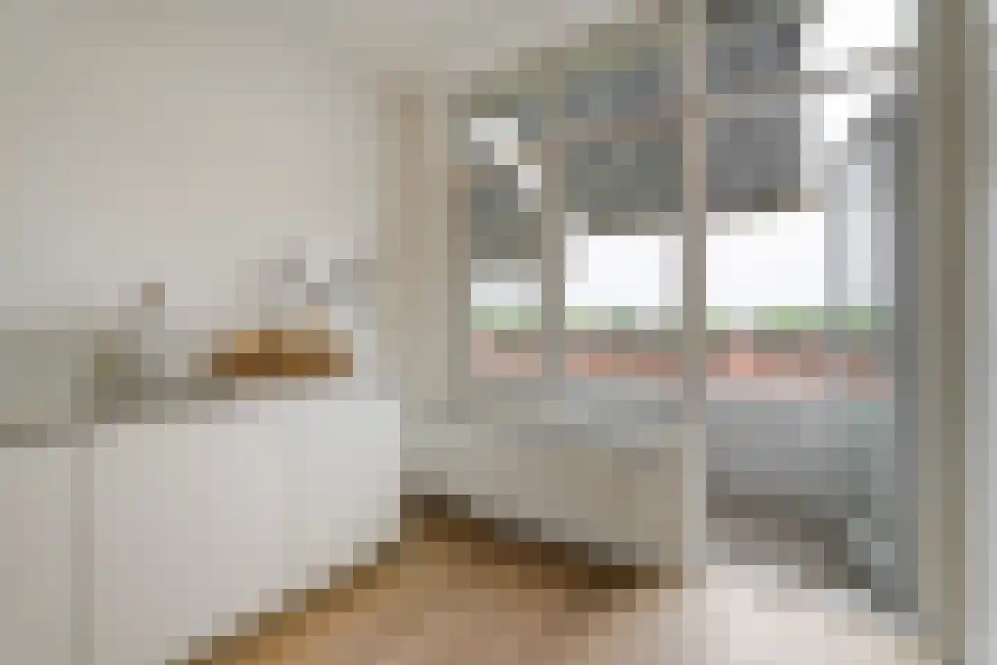 Laan van Meerdervoort 1450 Den Haag thumbnail 11