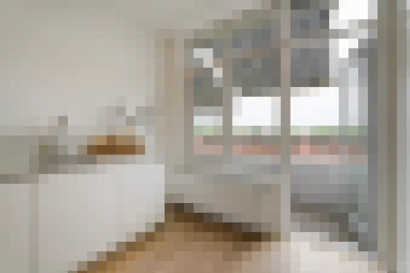 Laan van Meerdervoort 1450 Den Haag thumbnail 11