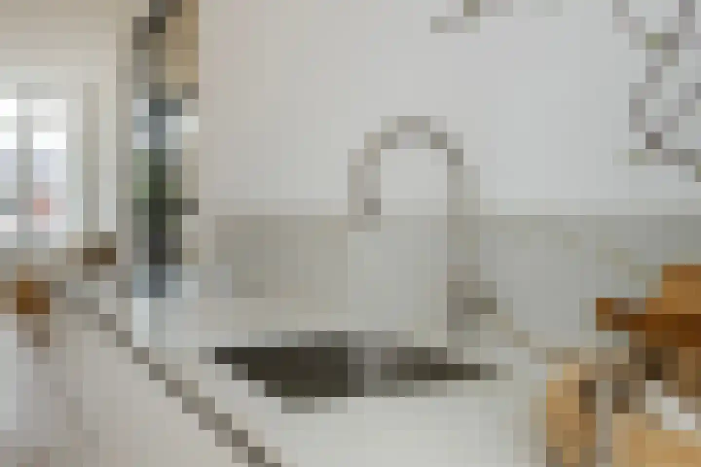 Laan van Meerdervoort 1450 Den Haag thumbnail 15