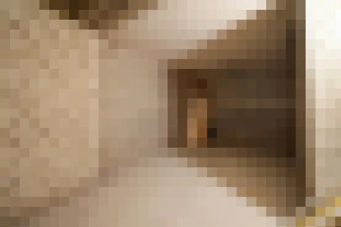 Laan van Meerdervoort 1450 Den Haag thumbnail 55