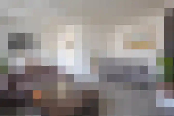 Laan van Meerdervoort 1468 Den Haag thumbnail 11
