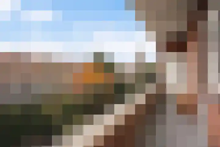 Laan van Meerdervoort 1468 Den Haag thumbnail 18