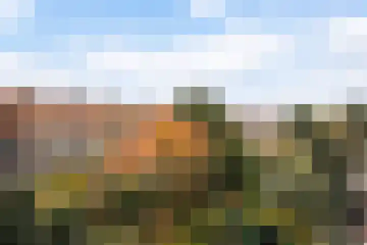Laan van Meerdervoort 1468 Den Haag thumbnail 19