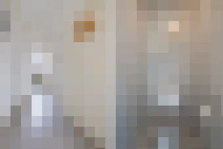Laan van Meerdervoort 1468 Den Haag thumbnail 22