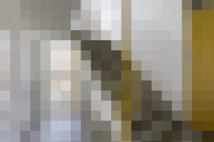 Laan van Meerdervoort 1468 Den Haag thumbnail 23