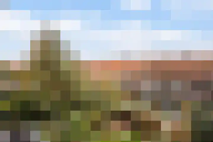 Laan van Meerdervoort 1468 Den Haag thumbnail 4