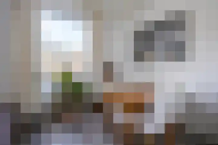Laan van Meerdervoort 1468 Den Haag thumbnail 8