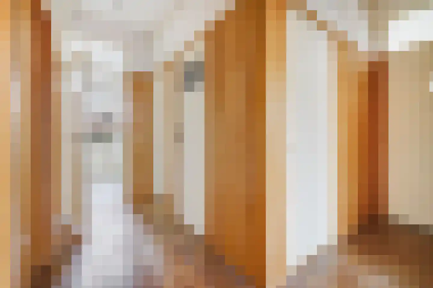 Laan van Meerdervoort 1478 Den Haag thumbnail 19