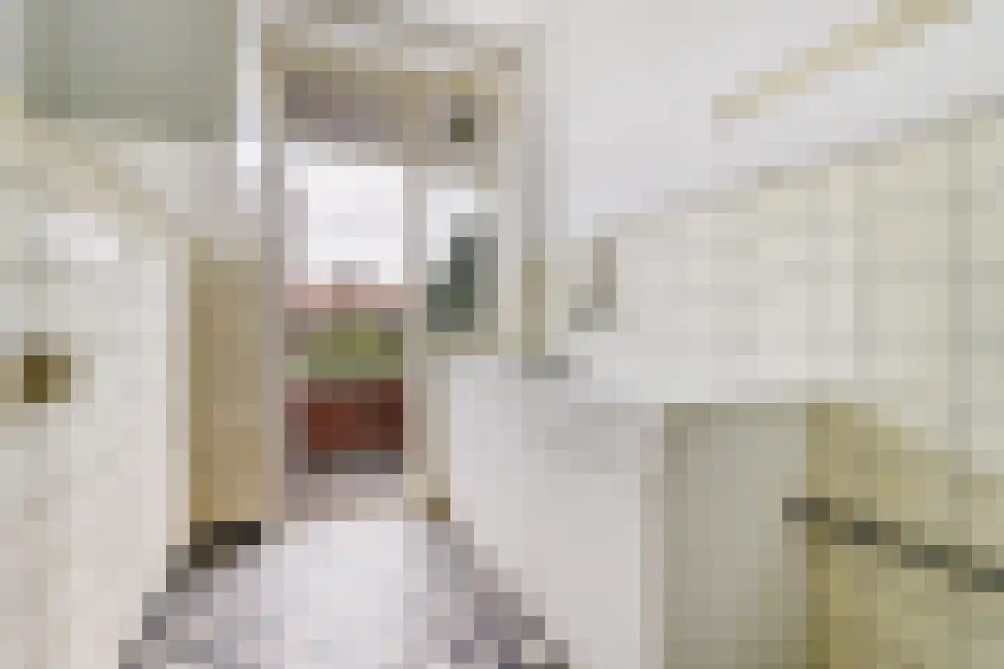 Laan van Meerdervoort 1478 Den Haag thumbnail 20