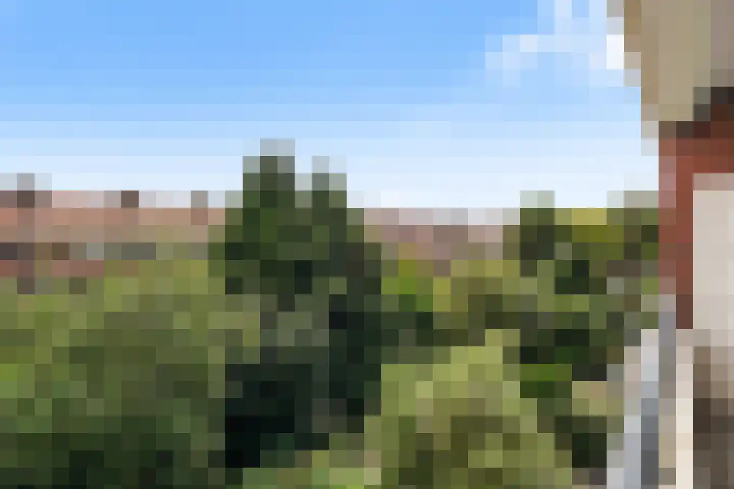 Laan van Meerdervoort 1478 Den Haag thumbnail 21
