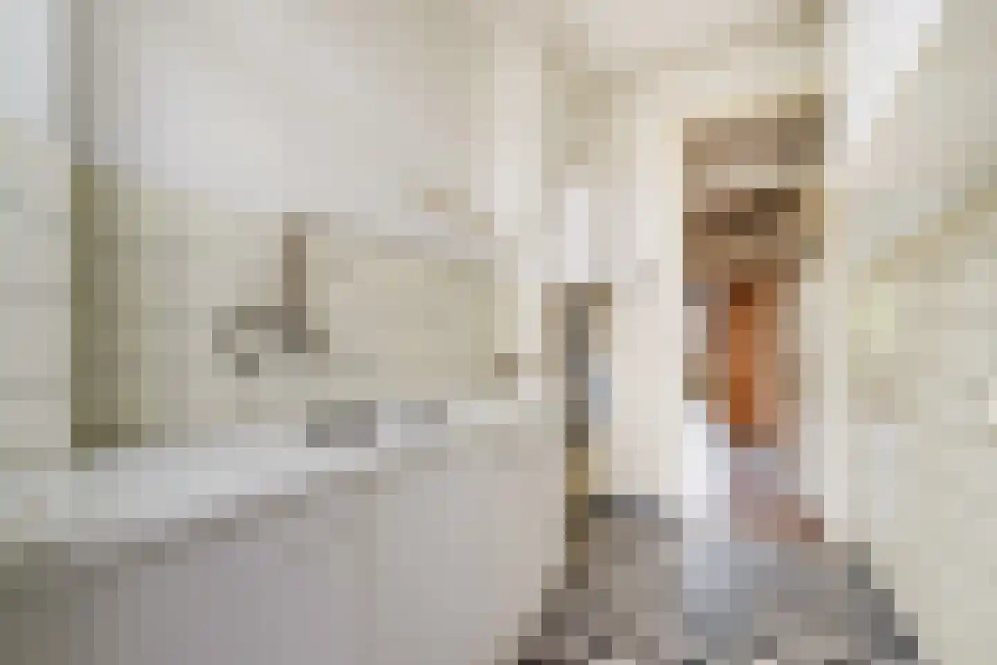 Laan van Meerdervoort 1478 Den Haag thumbnail 22