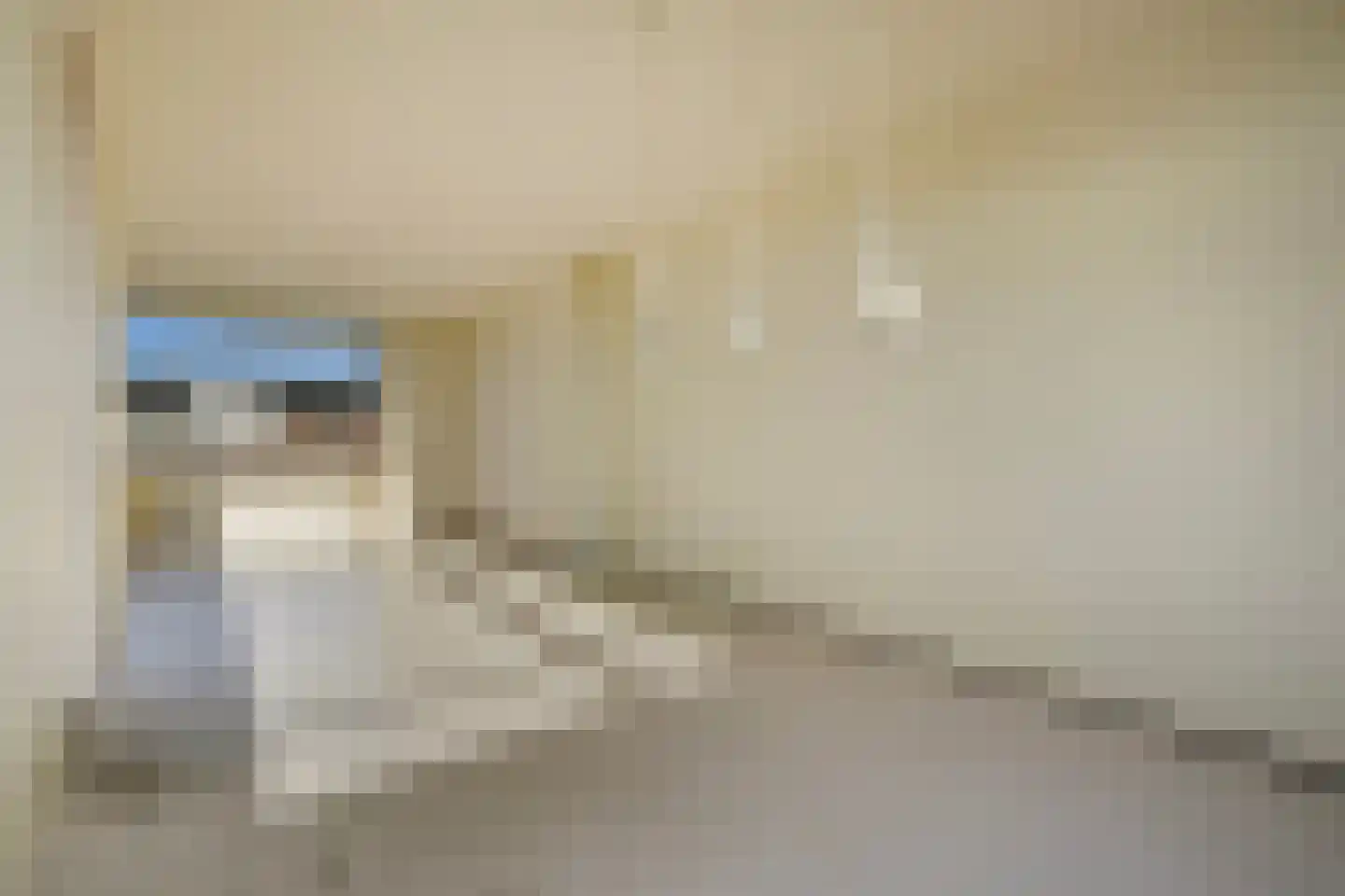Laan van Meerdervoort 1482 Den Haag thumbnail 11