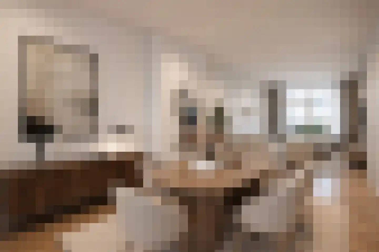Laan van Meerdervoort 1482 Den Haag thumbnail 11
