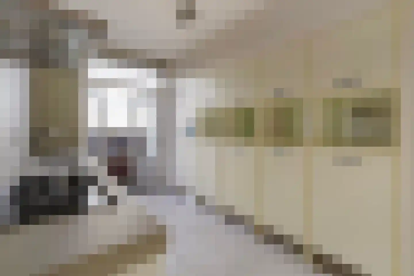 Laan van Meerdervoort 1482 Den Haag thumbnail 19