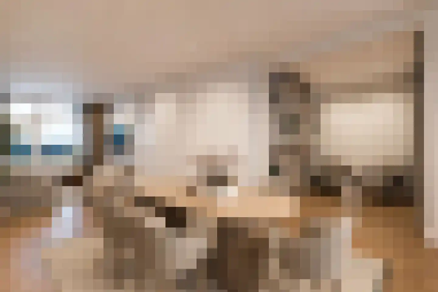 Laan van Meerdervoort 1482 Den Haag thumbnail 20