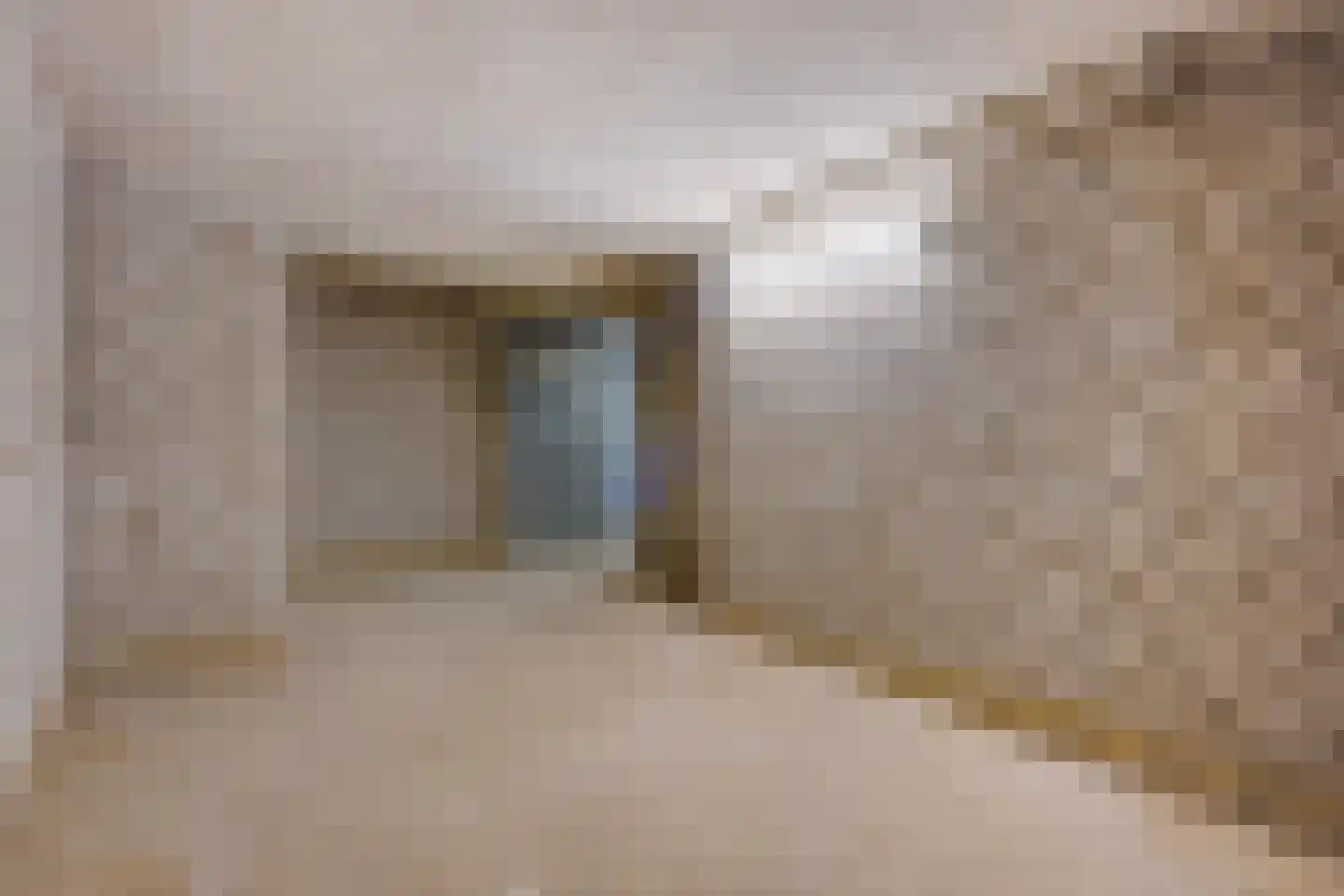Laan van Meerdervoort 1482 Den Haag thumbnail 36