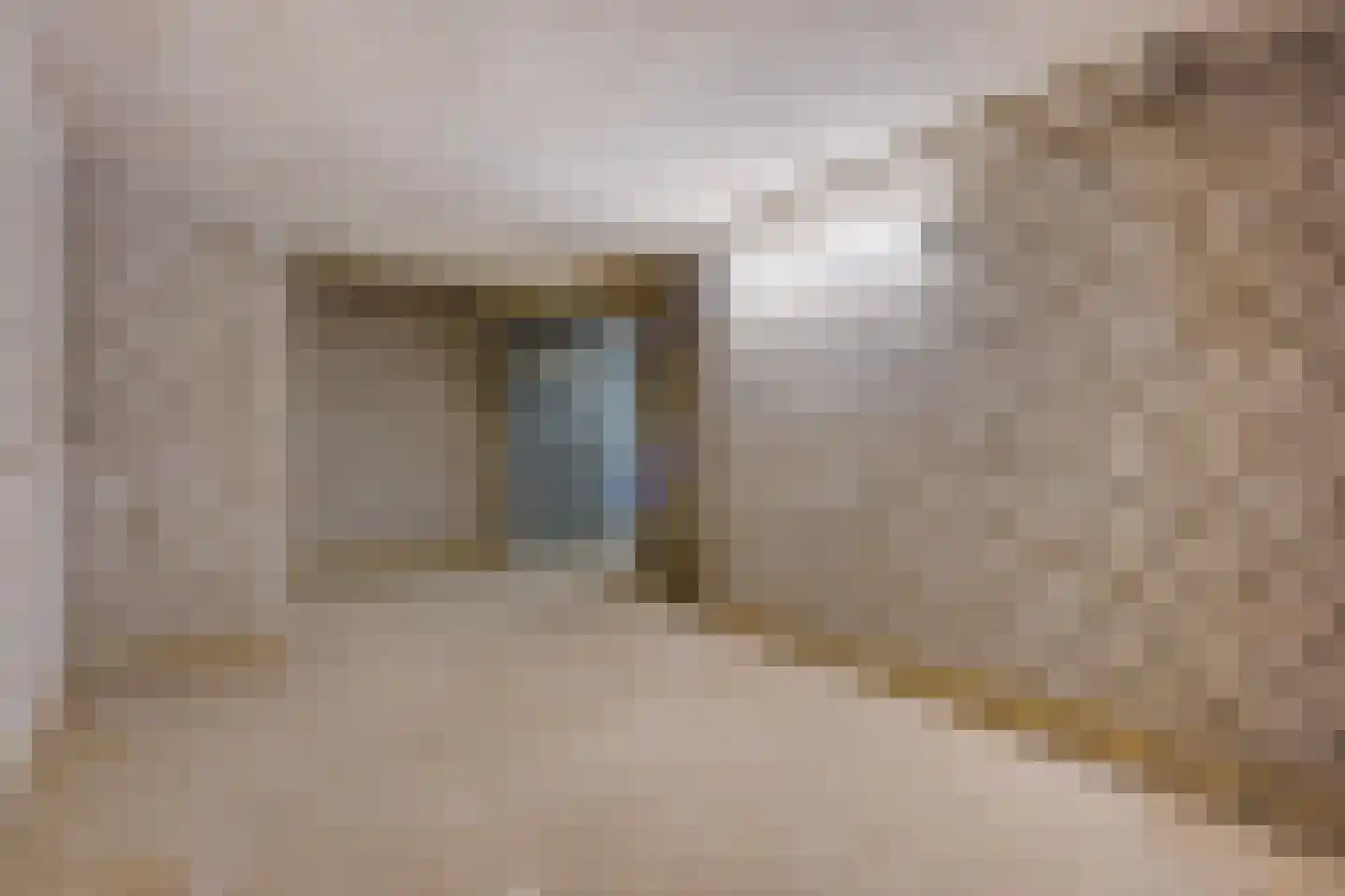 Laan van Meerdervoort 1482 Den Haag thumbnail 38