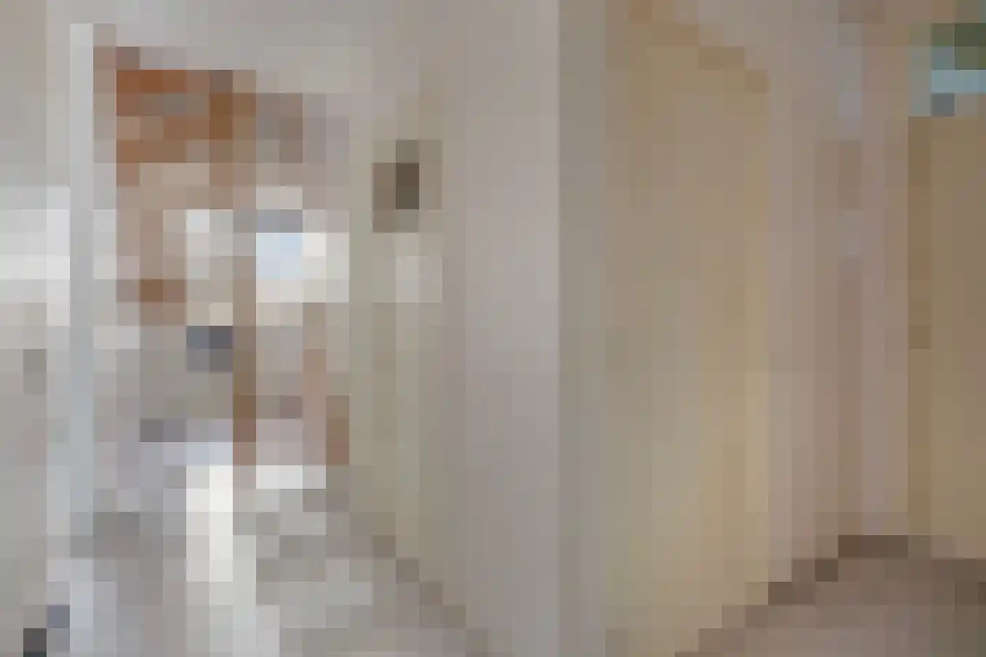 Laan van Meerdervoort 1482 Den Haag thumbnail 9
