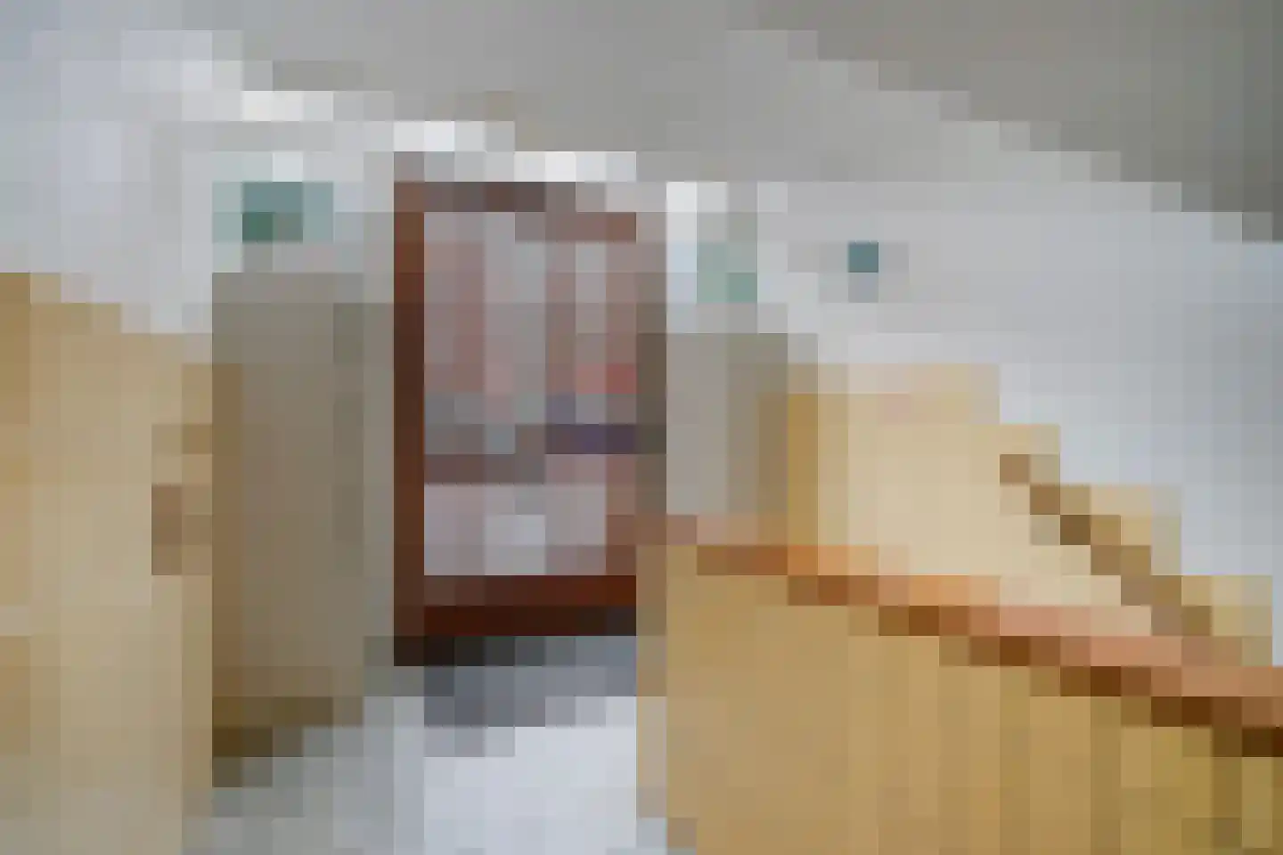 Laan van Meerdervoort 1521 Den Haag thumbnail 37