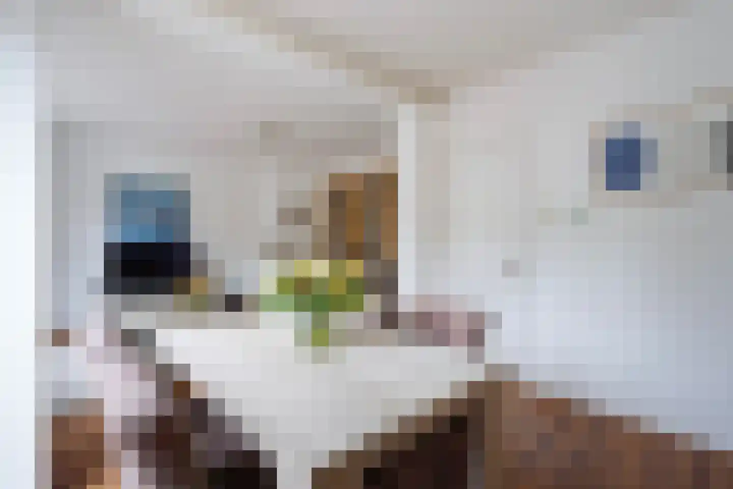 Laan van Meerdervoort 1533 Den Haag thumbnail 12